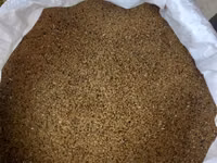 5 illik yoncadan saxlanılmış toxum vimden keçib .Beyləqandadi — сүрөт 1