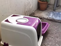 Pişik üçün iki hissəli tualet dəsti - Rəng: bənövşəyi-ağ - Komplekt — 2-сурет
