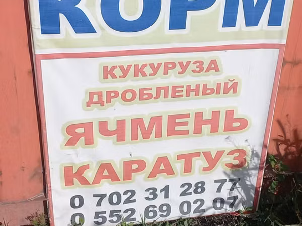 Корм и ингредиенты для сельхозживотных и птицы.ячмен кукуруза пшеница