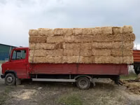 Тюки соломы ячменные плотный чистый доставка 🚚 есть стандартных — сүрөт 3