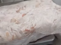 Котлетное мясо свинины (тримминг) — الصورة 3