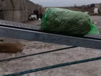 СИЛОС В УПАКОВКЕ ПО 24-26 кг ВЫСШИЙ СОРТ!!! Ватсапп+ — 2-rasm
