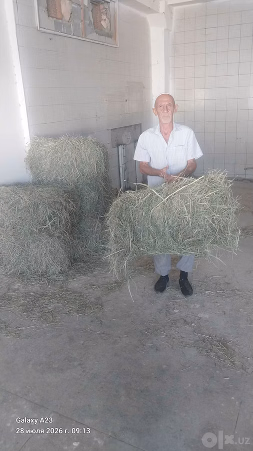 Хашак прес сотилади