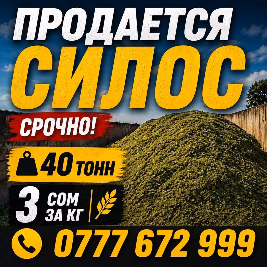 Силос на продажу. - Объем: 40 тонн - Цена: 3 сома за кг - Срочно