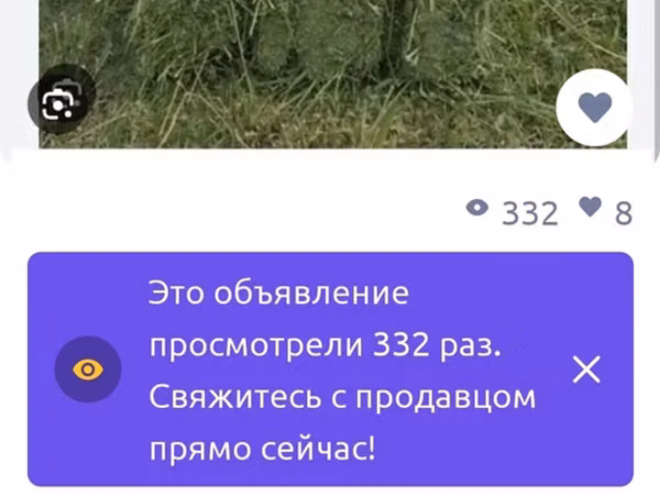 Сено в тюках - Прессованное сено прямоугольными тюками - Ровные