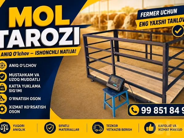 Chorva mol tarozi bor sotiladi