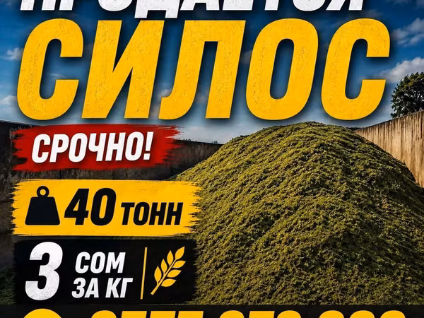 Силос на продажу. - Объем: 40 тонн - Цена: 3 сома за кг - Срочно