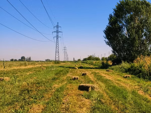 Продаём тюки РАЗНОТРАВЬЯ Укос: 3 укос 2026 год Кол-во: ~250 штук