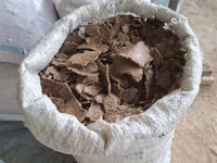 Семичка кунжола с — Foto 2