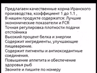 Корм для рыбы Yadish Плавающий корм для рыбы иранского производства — Foto 3