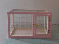 Dovşan,hamster,şinşila,bildirçin,cücə,xamyak,pişik,quş ve s kimi ev — Foto 2