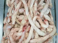 Купим говяжьи субпродукты! — الصورة 5