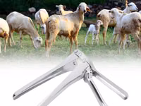 Вагинальный расширитель для крс и мрс — الصورة 5