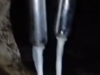 🐄💦 ДОИЛКА ДЛЯ КОРОВ — ВСЕГО 6 400 сом! Не переплачивай за огромные — 5-rasm