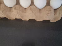 婆罗门鸡 — 照片 4