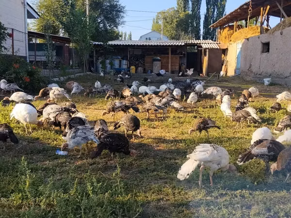 Бронзовая