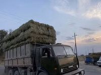 Кастра зеленая тюки хорошие — сүрөт 1