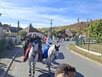 Stute, Lipizzaner — Foto 8