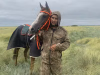 حصان, Anglo-Arabian — الصورة 2