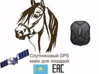 GPS трекер для лошадей авто баранов коров ЖПС для лошадей транс — Foto 2