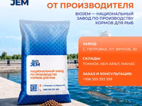 КОРМ ДЛЯ ФОРЕЛИ ОПТОМ ОТ ПРОИЗВОДИТЕЛЯ 🐟 КОРМА ДЛЯ РЫБ ОТ — сүрөт 1