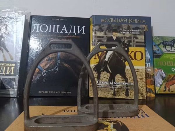 Продаю стремена. Подойдут для кок-бору, не для спорта.
Цена 3000 сом