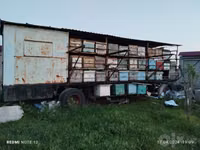 Асалари прецпи сотилади -80та ящик учун — फ़ोटो 1