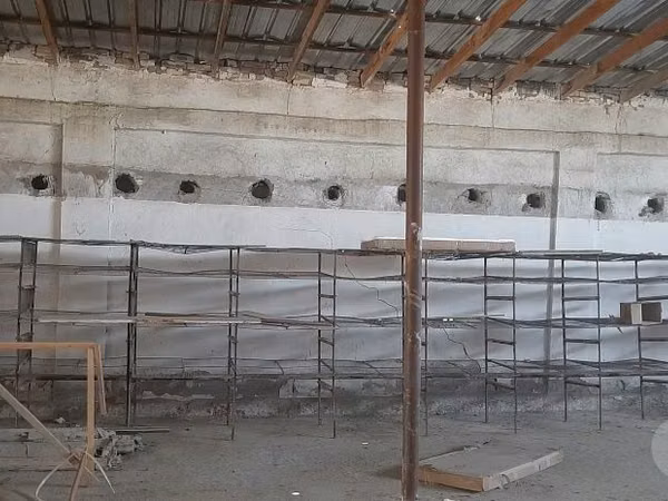 Кузикорин йетиштириш учун стелаж