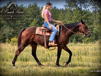 Yegua, Quarter Horse — foto 2