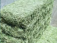 Беда пресс донага 45000 — 2-rasm