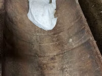 Goat, Saanen goat — photo 7