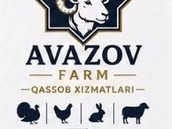 Schafe (Partie, Geschlecht nicht angegeben), Arashan sheep