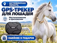 GPS трекер для лошадей. Жпс жылқыға — Foto 1
