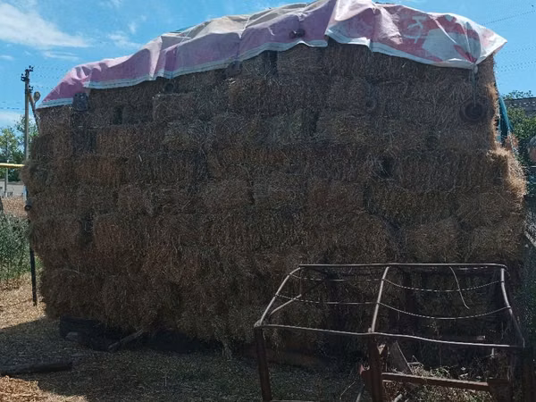 Продам тюки разнотравья