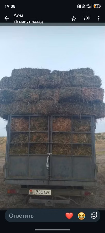 Сено в тюках
Клевер хороший есть доставка 140шт