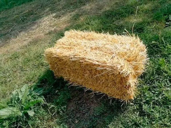Продаю солому ячменную! Тюки сухие, большие, плотные лежат под