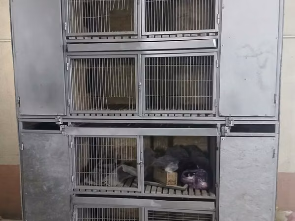 Металлический многоярусный клеточный блок для содержания животных