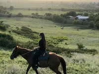 Caballo, Caballos — foto 5