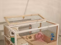 Hamster/kiçik gəmirici üçün geniş taxta — Foto 4