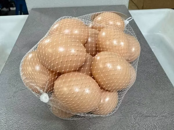 Подкладное куриное яйцо