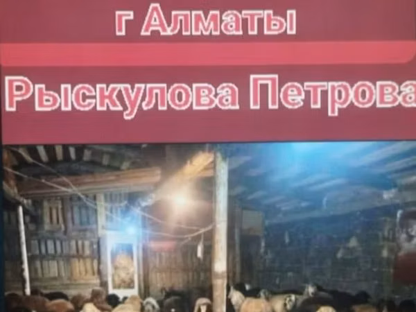 Баран, Бараны