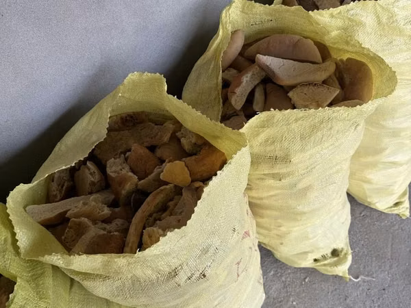 Мол, куй, хайвонлар учун нон кок