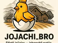 Chickens — Foto 2