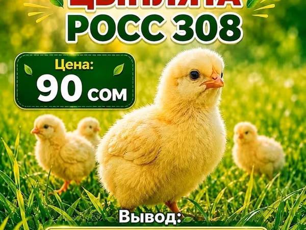 Росс-308