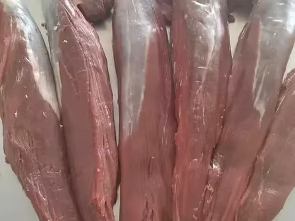 Бесплатная доставка