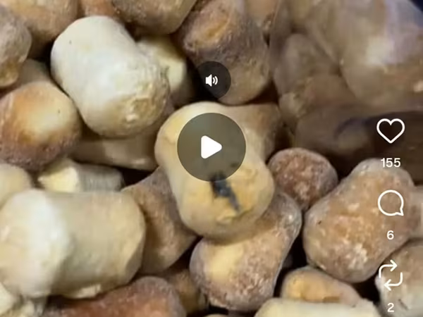 Копчёный курт алам жегенге Кобуроок Канча сом болот
