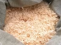 Chickens — Foto 3