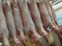 Продам баранину ягнят — الصورة 1