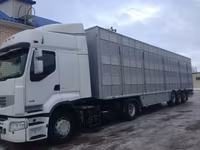 Букачар, Сиырлар — сүрөт 2