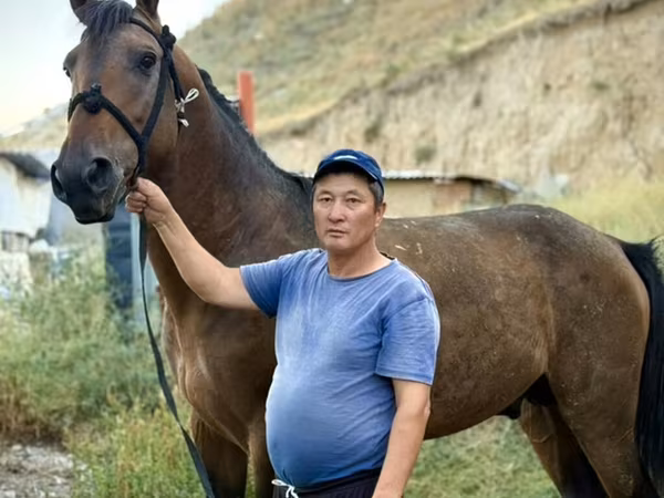 Ат, Француздук жорго — Кыргызстан